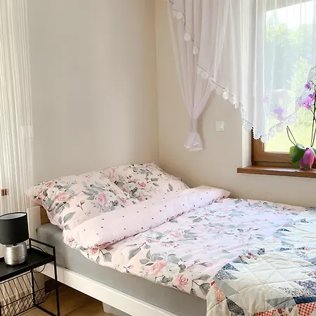 Gradzka Dolinka Apartment